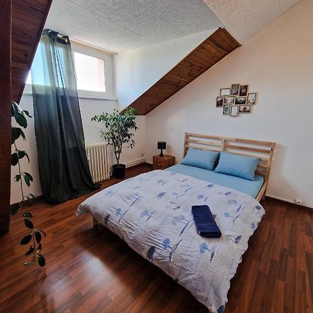 Nice Room 4 Minutes From Basel Shared Apartment Saint-Louis  Extérieur photo