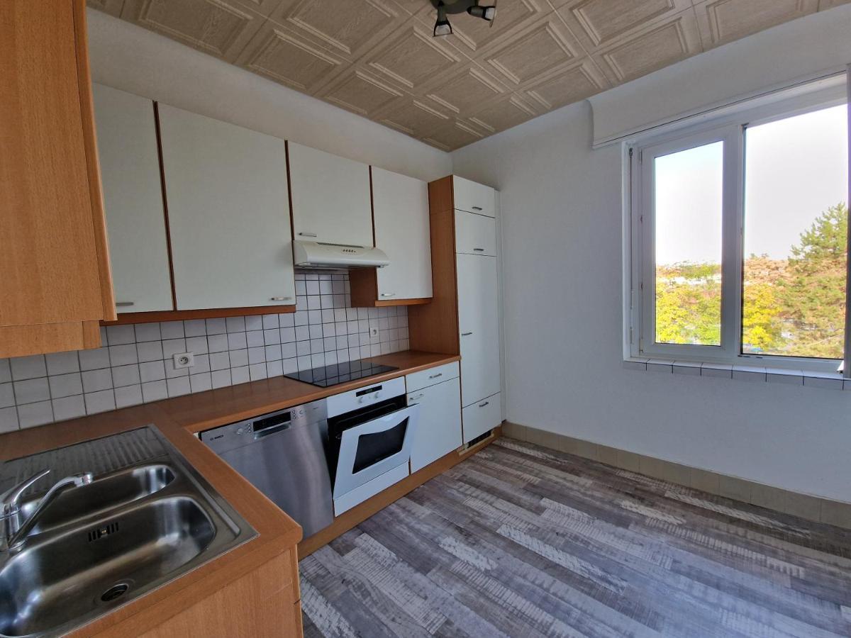 Nice Room 4 Minutes From Basel Shared Apartment Saint-Louis  Extérieur photo