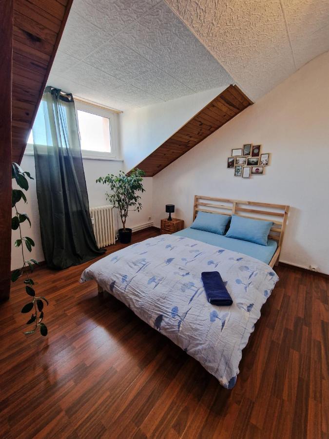 Nice Room 4 Minutes From Basel Shared Apartment Saint-Louis  Extérieur photo