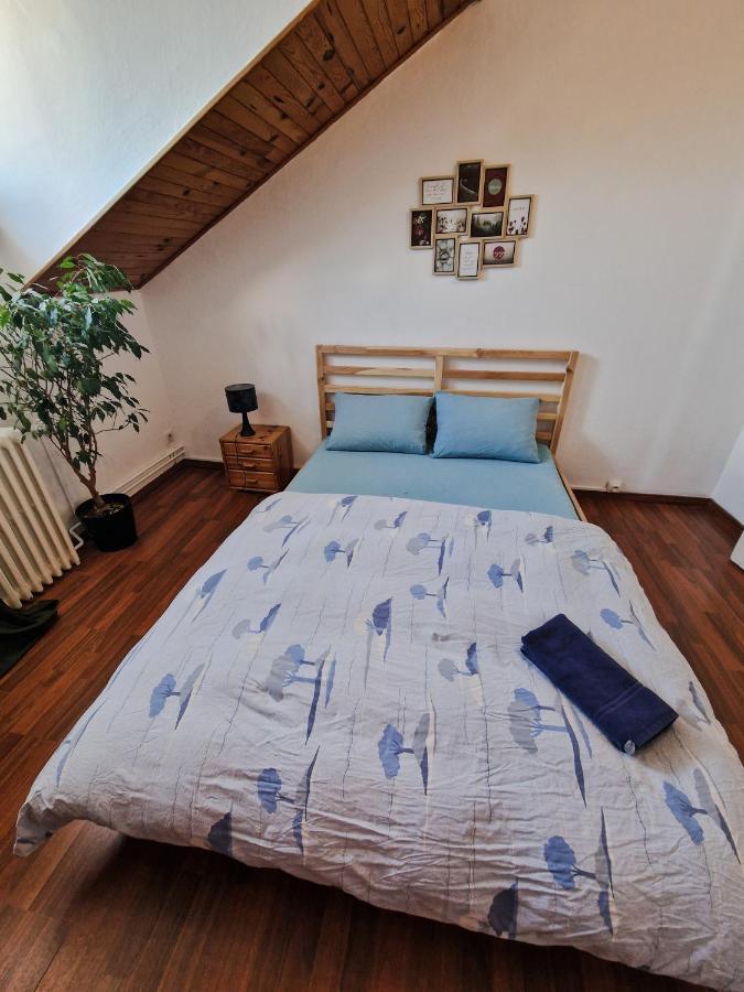Nice Room 4 Minutes From Basel Shared Apartment Saint-Louis  Extérieur photo
