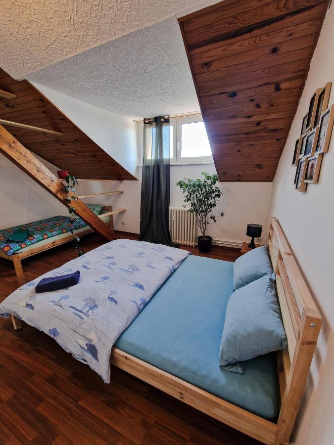 Nice Room 4 Minutes From Basel Shared Apartment Saint-Louis  Extérieur photo