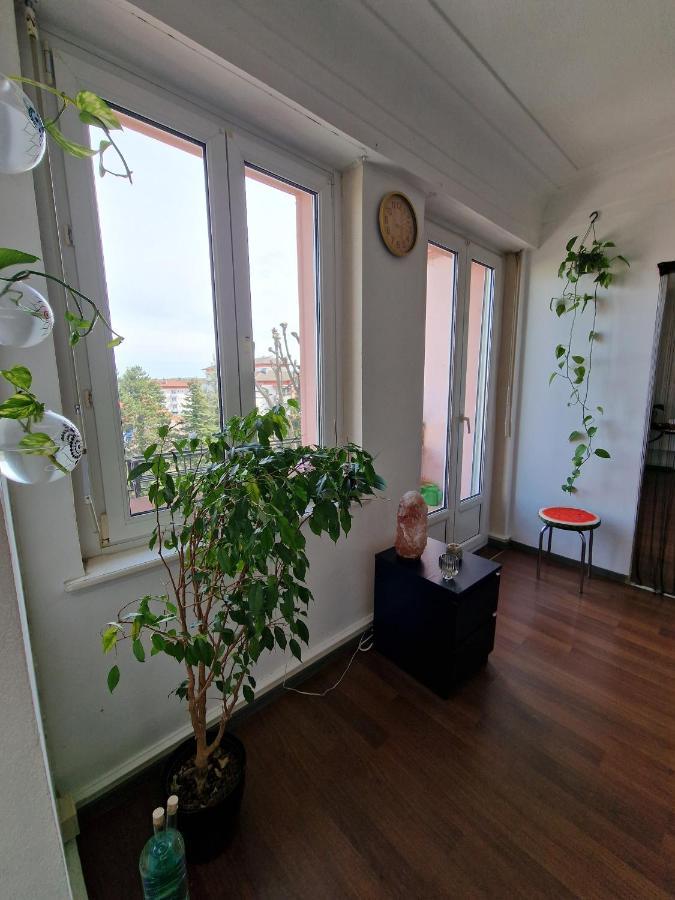 Nice Room 4 Minutes From Basel Shared Apartment Saint-Louis  Extérieur photo